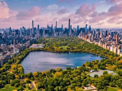 need a small party bus rental in nyc? we've got you covered!