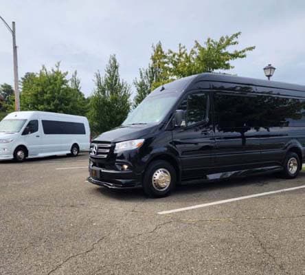 12 passenger mercedes sprinter limo