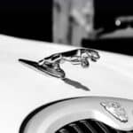 Jaguar hood ornament on classic car grille