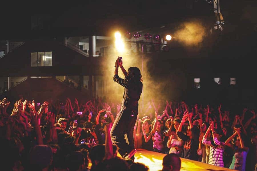 Performer on stage with cheering concert crowd