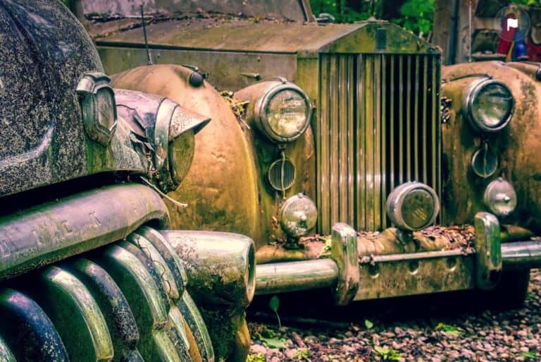 Rusty vintage cars with moss-covered front grilles