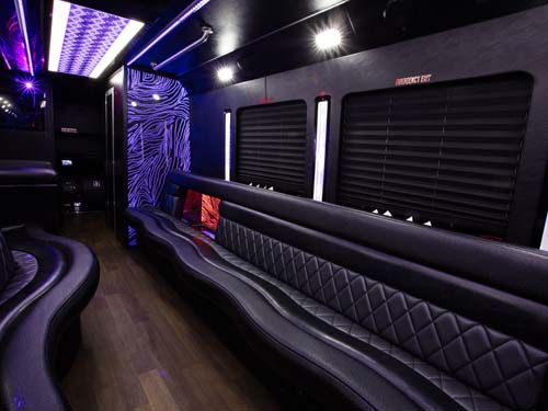 ford party bus 25 passengers