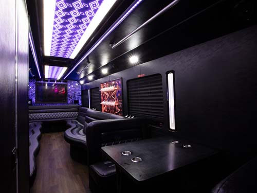 ford party bus 25 passengers