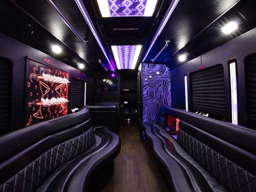 ford party bus 25 passengers