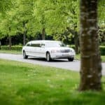 White stretch limousine driving along tree-lined street