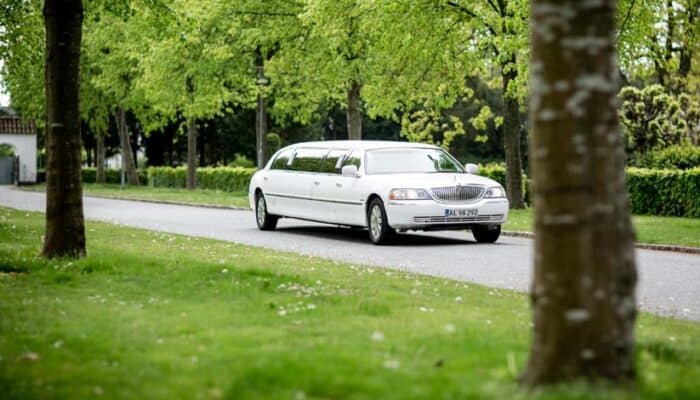 White stretch limousine on tree-lined road