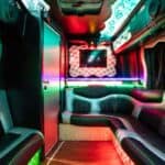 50 passenger party bus