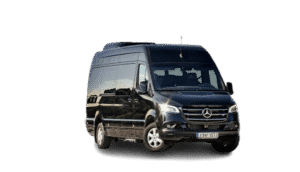 16 passenger mercedes benz sprinter party bus rental
