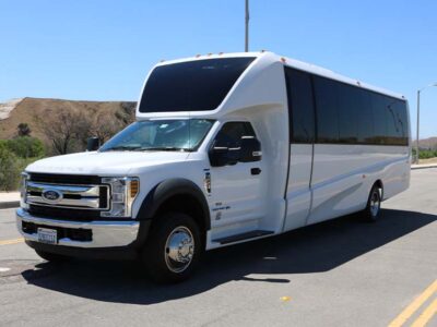 White shuttle bus parked on sunny road