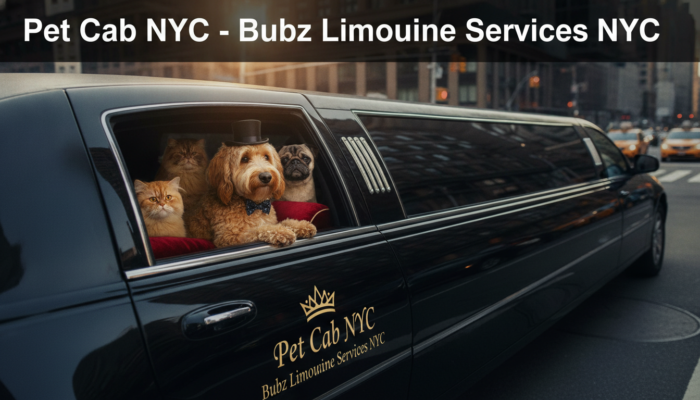 Dogs and cats riding in NYC limousine