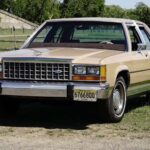 Beige vintage sedan parked on grassy field