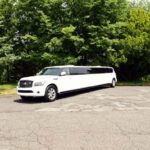 White stretch limousine parked beside lush green trees