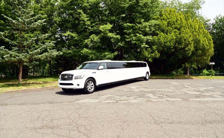 White stretch limousine parked beside lush green trees